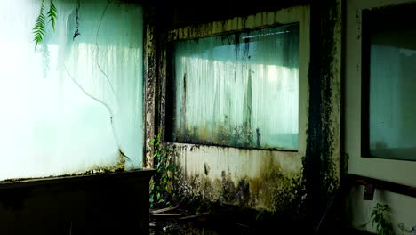 molds and moss covered walls inside the abandoned bedugul taman hotel in bali, indonesia