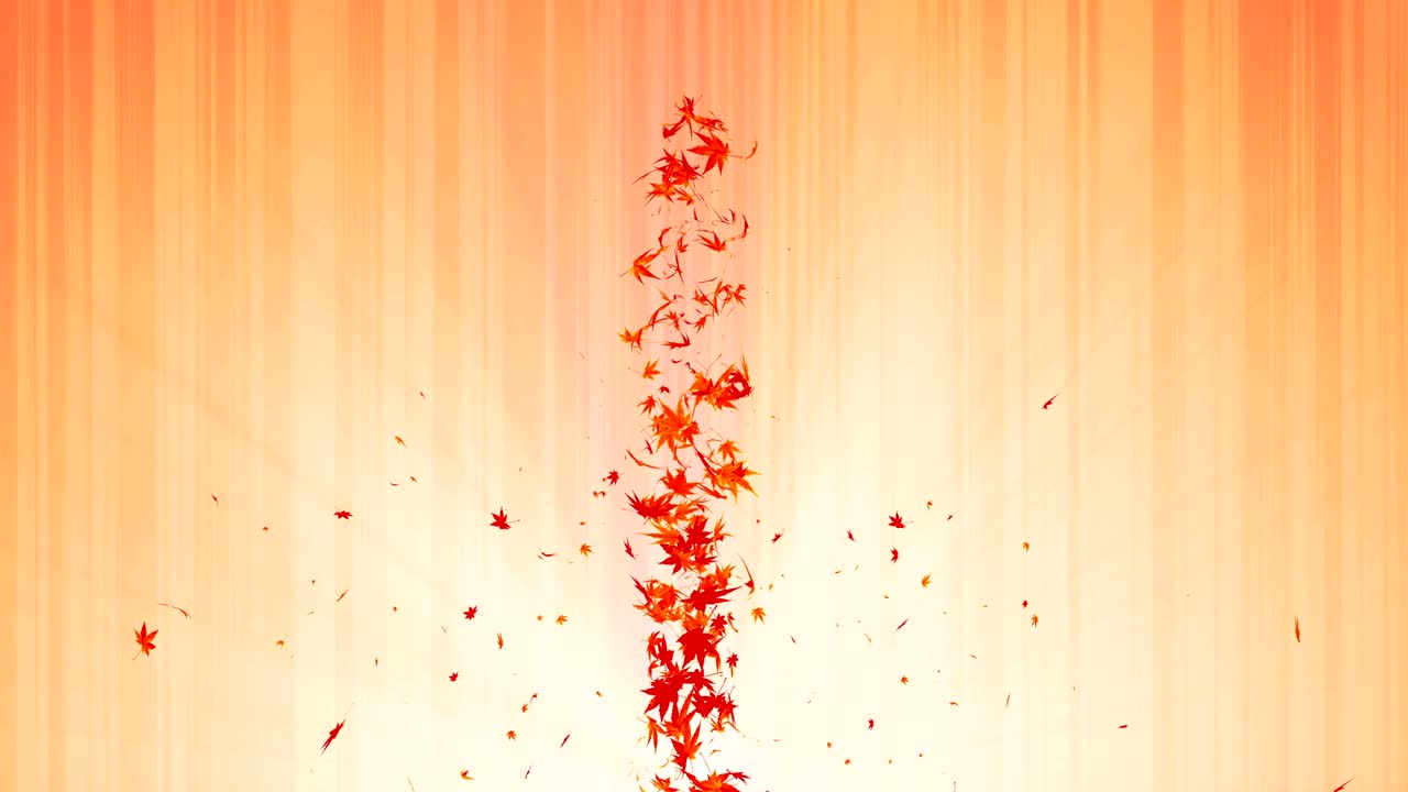 다채로운 메이플과 잎에서 나온 소용돌이, 가을 잎의 나선형 반이는 입자, 춤추는 잎, 다채로운 자연 터널 루프 애니메이션.