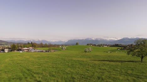 Drone-rises-above-vibrant-green-field-at-midday-in-spring-time,-Switzerland-countryside