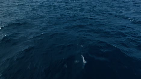 Vista-De-Pájaro-Del-Agua-Del-Océano-Abierto-Elevándose-Sobre-La-Brillante-Profundidad-De-Los-Mares-Azul-Oscuro