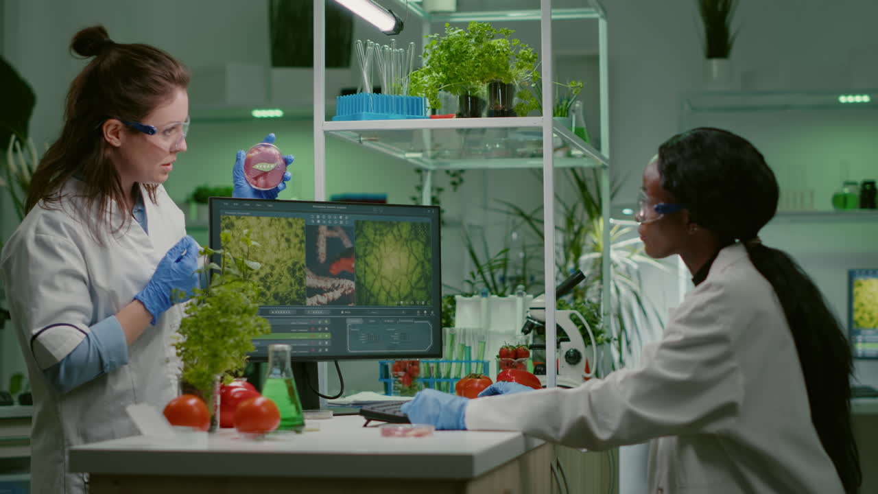 Medical team discussing about petri dish with vegan meat