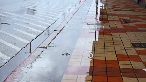 Gimbal-medium-shot-of-sidewalk-with-puddle-from-rain