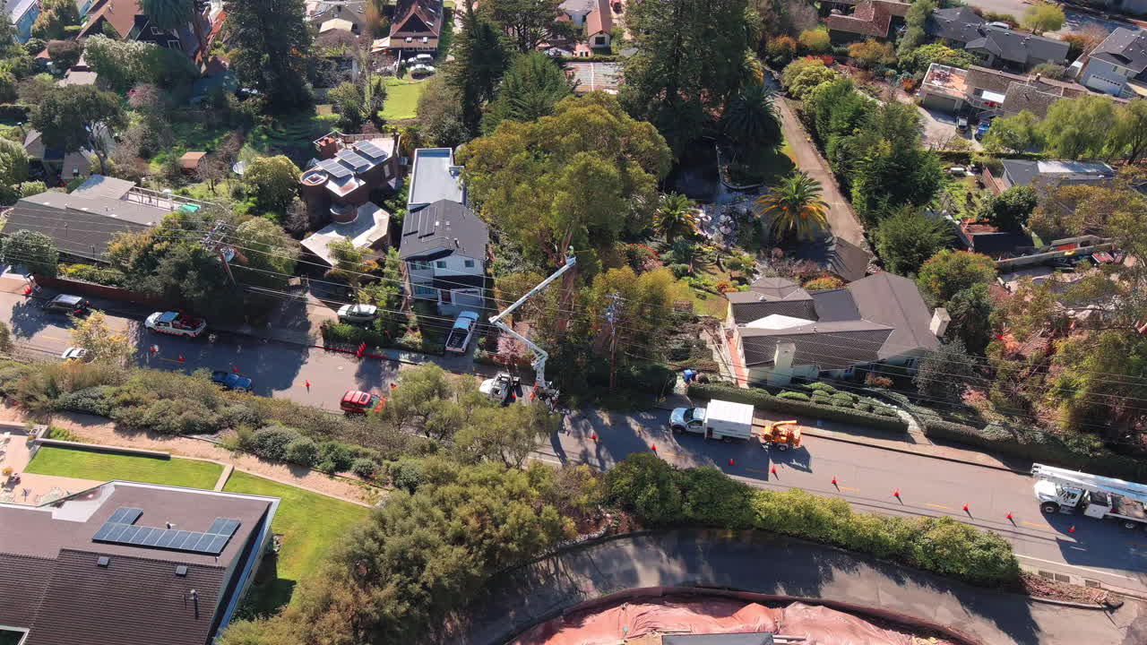 trabajador de servicios eléctricos recortando los árboles lejos de las líneas eléctricas