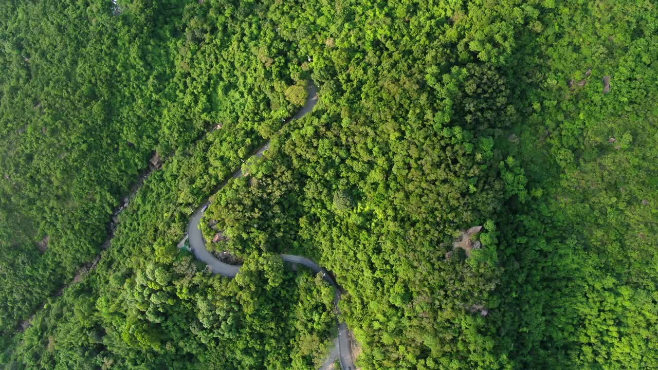 vista aérea de una estrecha y sinuosa carretera de montaña rodeada de una exuberante naturaleza verde