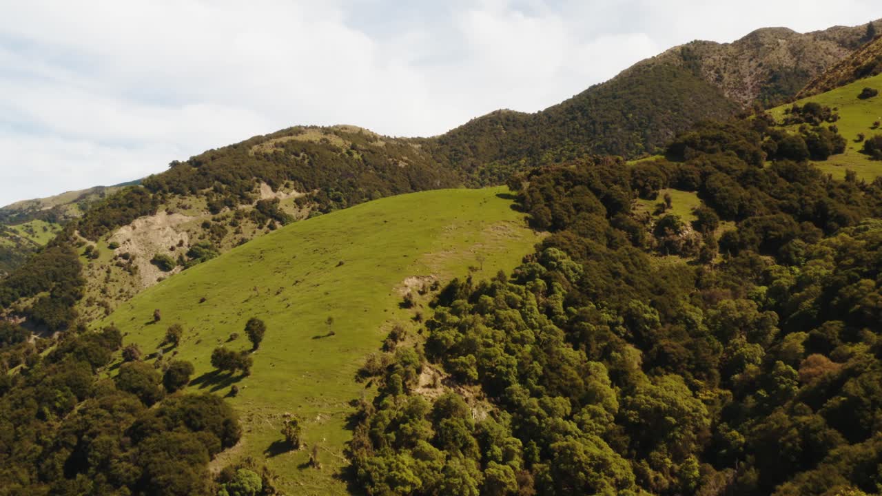 Filmato con drone di colline e foreste con strade in salita.