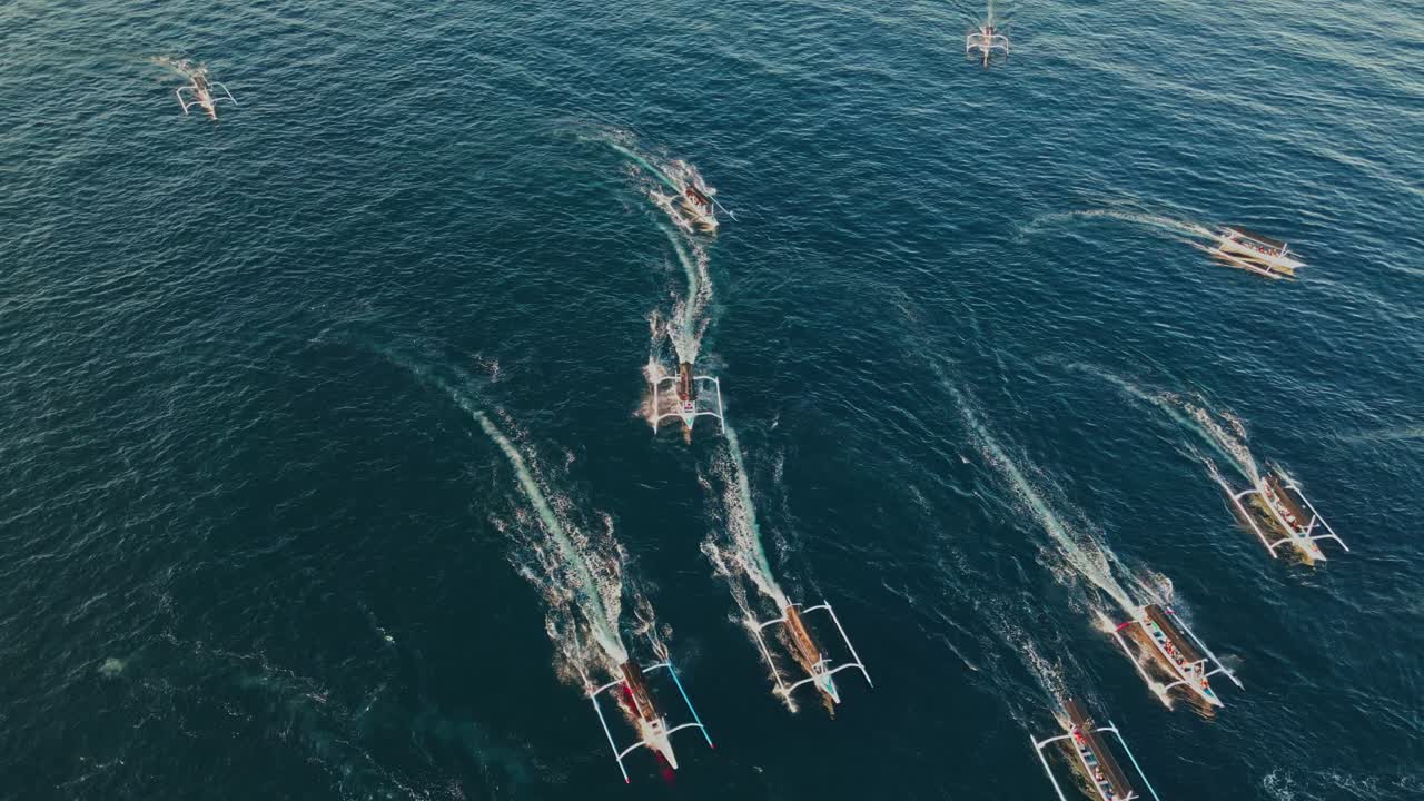 Fishermen’s wooden boats bring visitors close to wild dolphins under the morning light in Asia