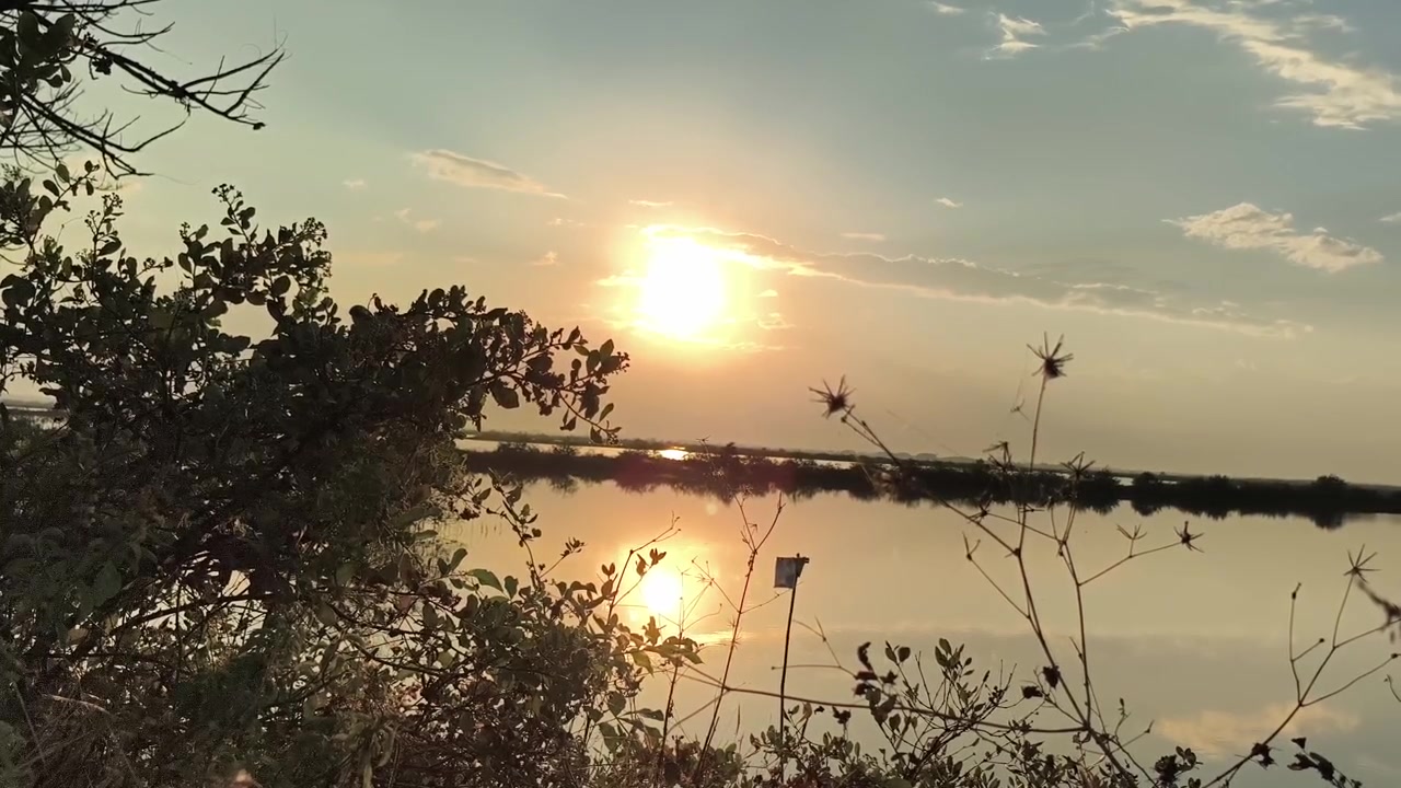 Tramonto dorato su lago calmo con vegetazione in silhouette.