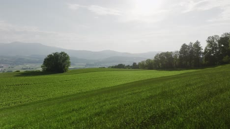 aerial of a field in rural switzerland