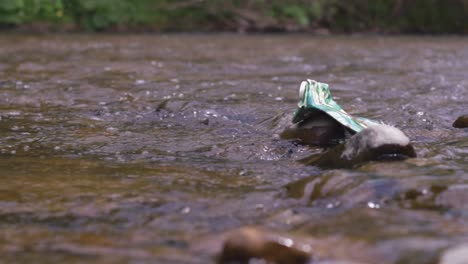 Corriente-De-Agua-De-Contaminación-De-Basura-De-Río.-Contaminación-Ambiental