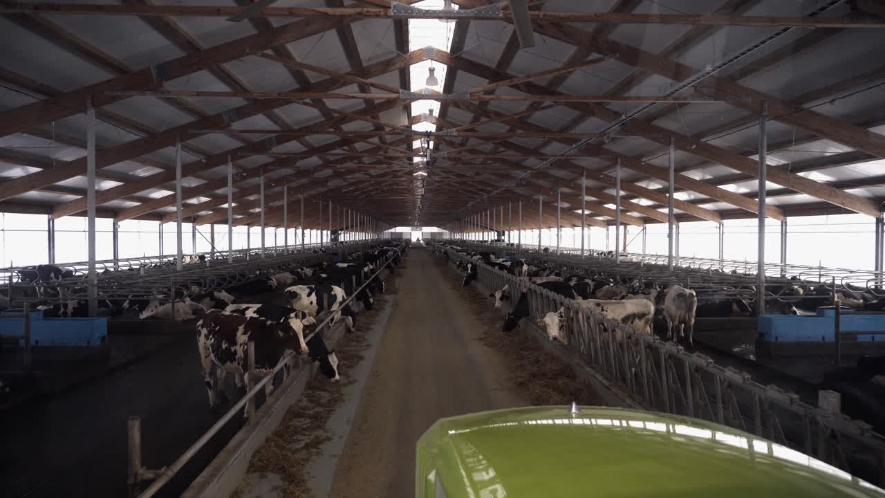 Modern Dairy Farm Cowshed