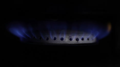 gas burning from a kitchen stove