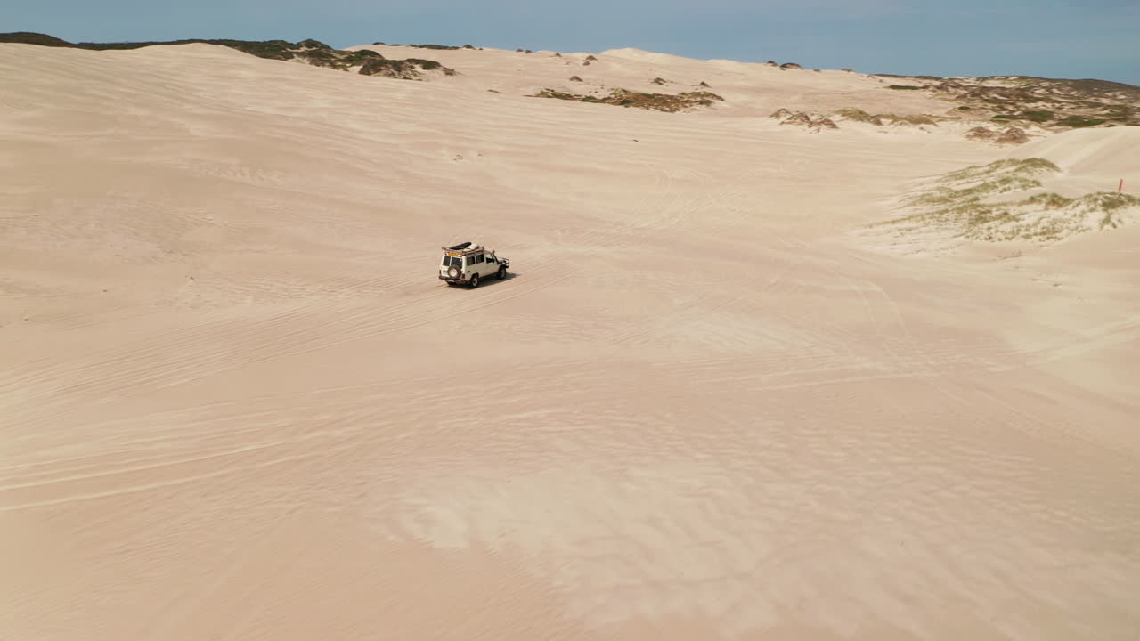 모래 언덕에서 4wd 차량으로 야생 투어