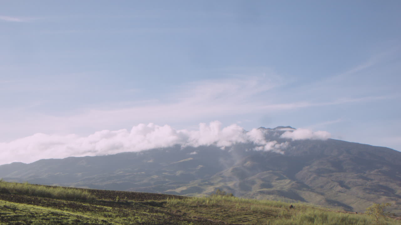 흐린 날은 푸른 평원 뒤에 인공 연기를 숨기지 않습니다