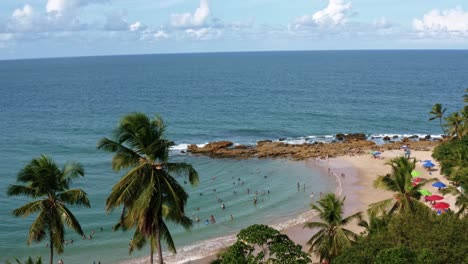 Tilt-down-aerial-drone-shot-of-the-famous-tourist-destination-Coqueirinhos-beach-in-Paraiba,-Brazil-surrounded-by-palm-trees-with-people-swimming-and-enjoying-the-shade-under-colorful-umbrellas