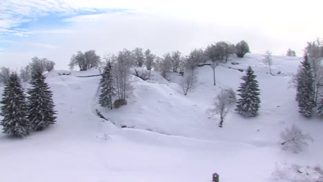 fairytale winter scenery with snow and blue sky on sunny day, left pan