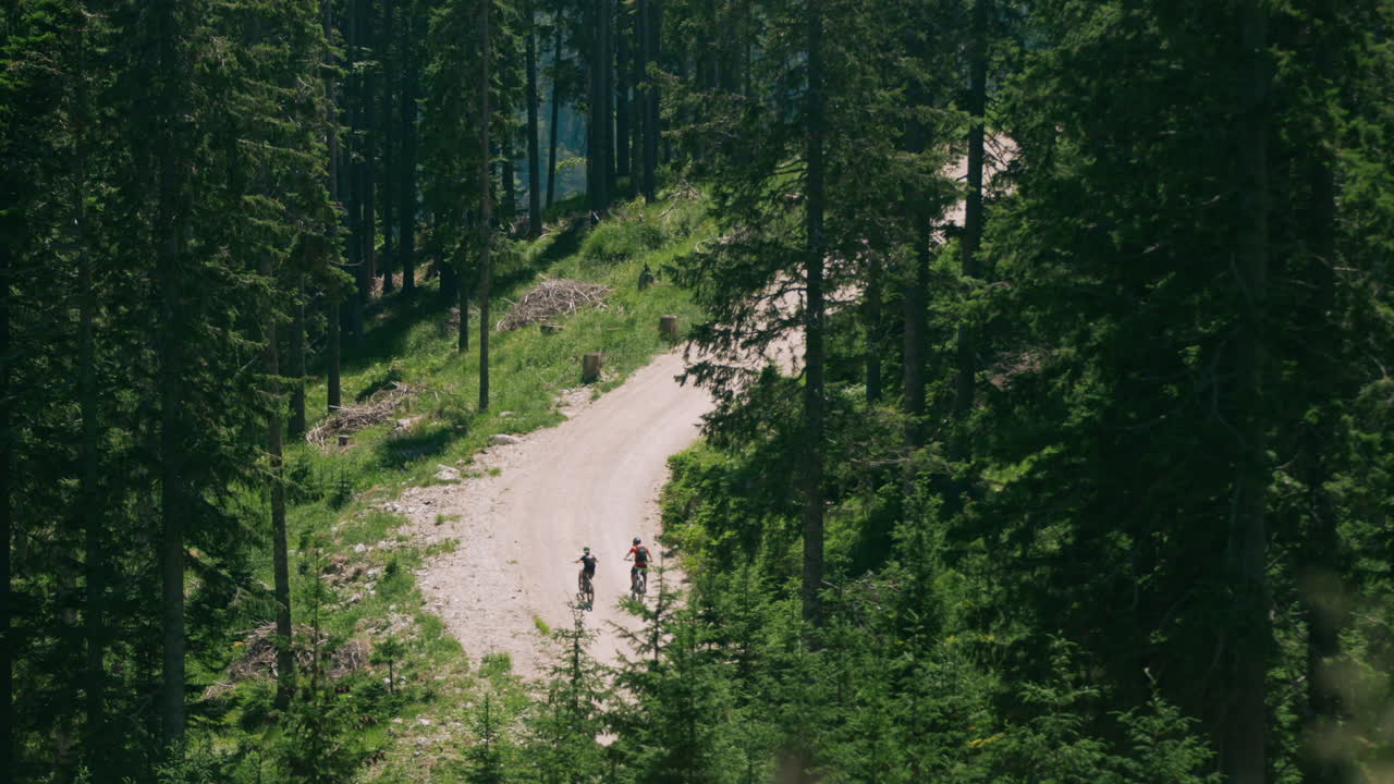 Mountain bikers on a forest trail