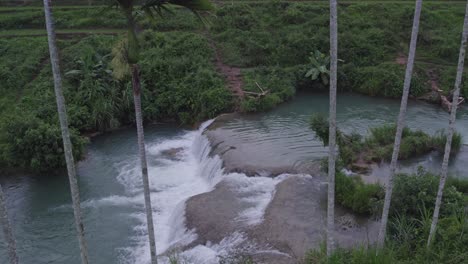 close up shot palm trees at waikacura waterfalls sumba island, aerial