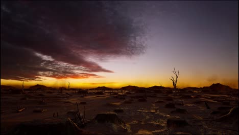 tree stumps left after deforestation, sunset time