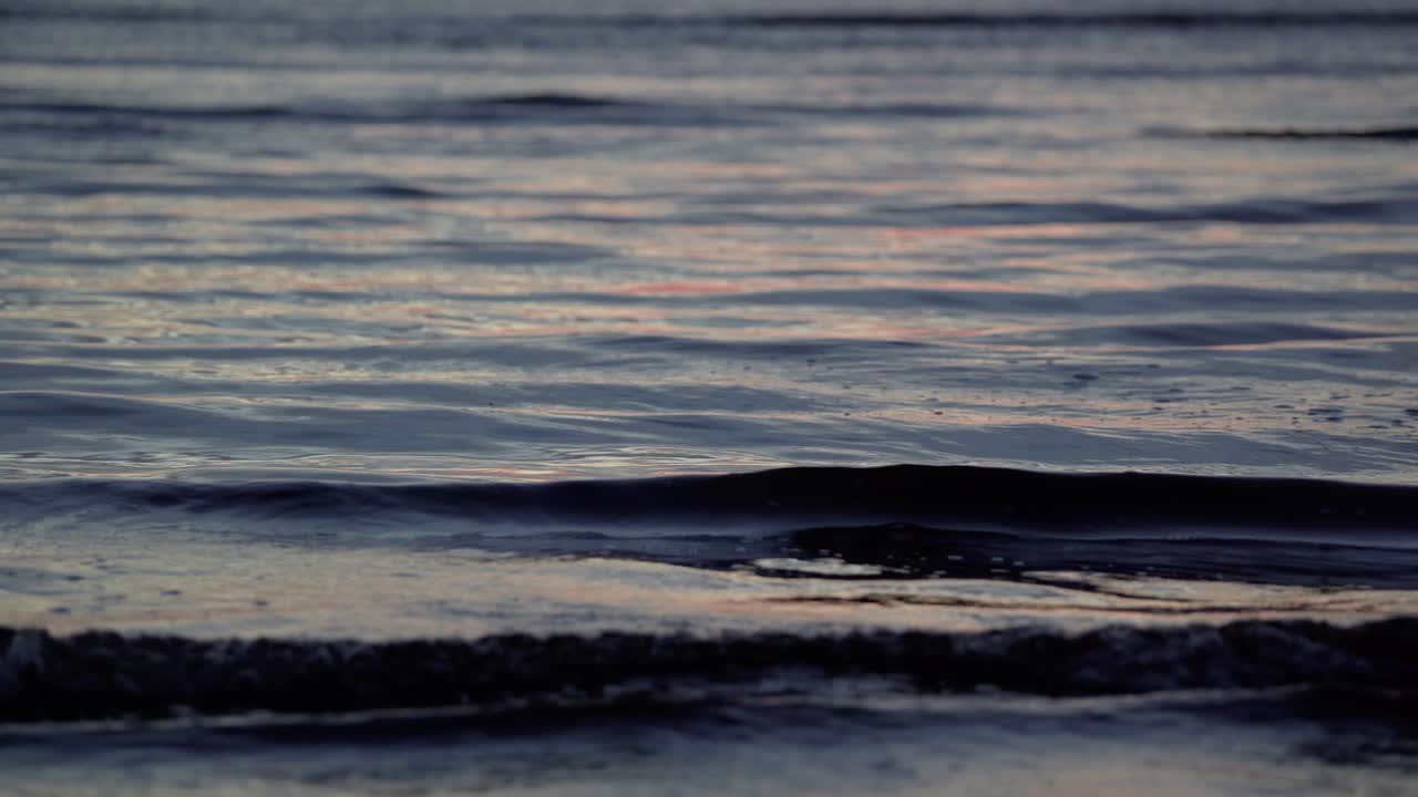 잔잔한 물 가까이