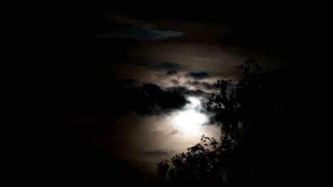 full moon moves in the night sky through dark clouds and trees. time lapse