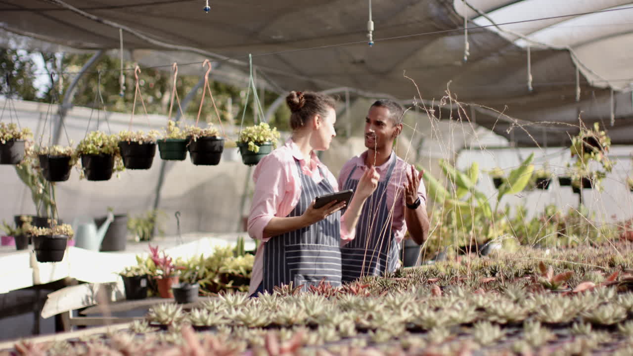 Garden center diverse workers discussing plant care while using tablet in greenhouse