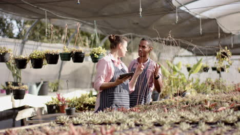 garden center diverse workers discussing plant care while using tablet in greenhouse