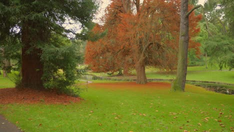 Vista-De-Los-Jardines-Botánicos-Durante-El-Mes-De-Otoño-En-Dublín,-Irlanda,-Con-Un-Hermoso-Paisaje-Al-Fondo.