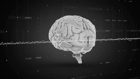 brain model with data points and binary coding in digital analysis animation