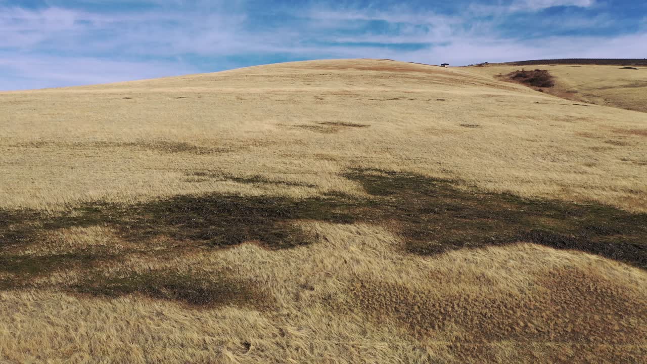 Dry Grassy Hillside Landscape