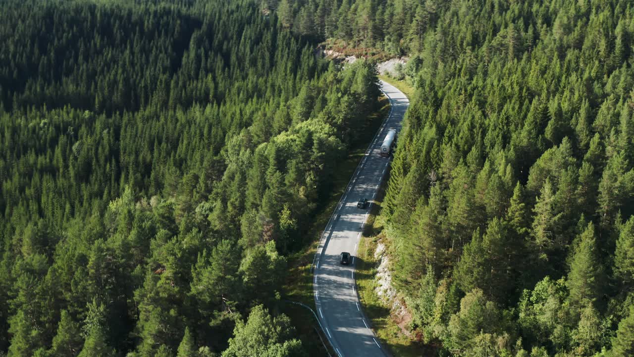 Driving on a Winding Road Through a Lush Green Forest