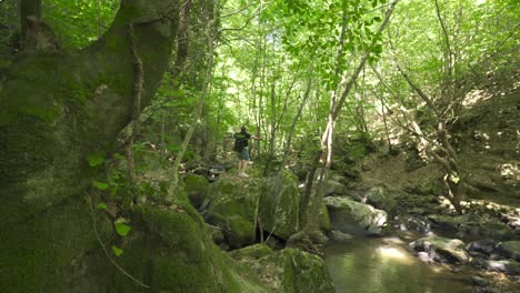 Adventurous-free-teenager-is-walking-in-the-forest.