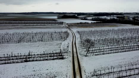 [drone] following a path through vines in the winter