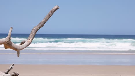 a tranquil beach scene with a floating branch