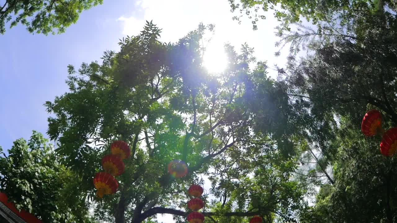 Walking under many Chinese lanterns hanging from trees