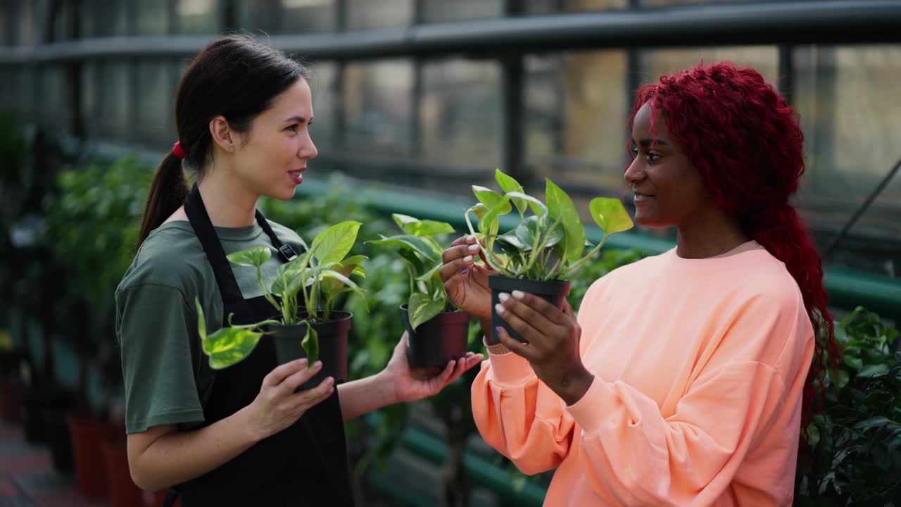Woman florist talking to female client, consalting about plants she chose in flower shop