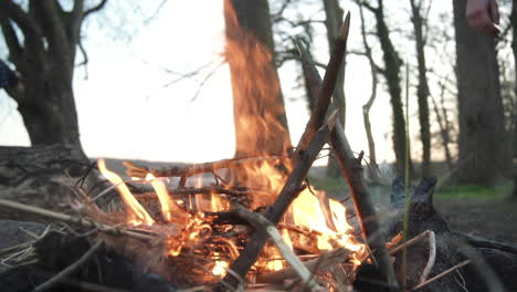 Lagerfeuer-Im-Wald-Im-Freien-Wildnisabenteuer