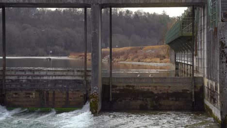 Looking-through-a-weir-to-two-swans-swiming-together-at-the-jammed-water-while-some-flowing-water-comes-out-of-the-small-opening-of-the-wooden-dam