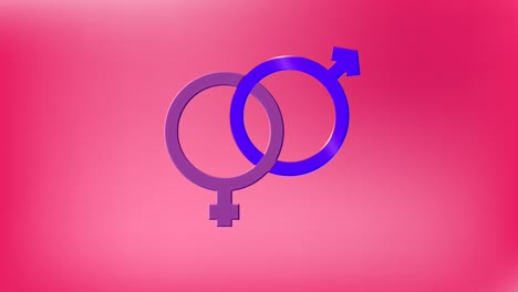 animation of interlinked pink and purple male and female gender symbols, on pink background