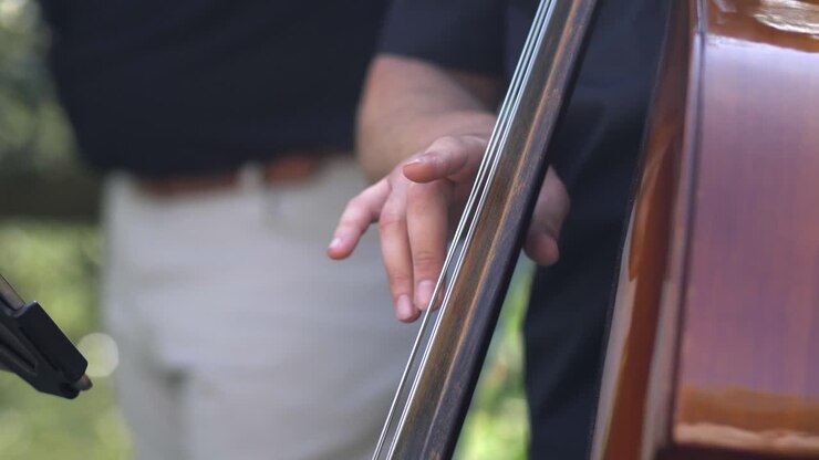 double bass closeup slow motion, musician playing upright bass in garden wedding