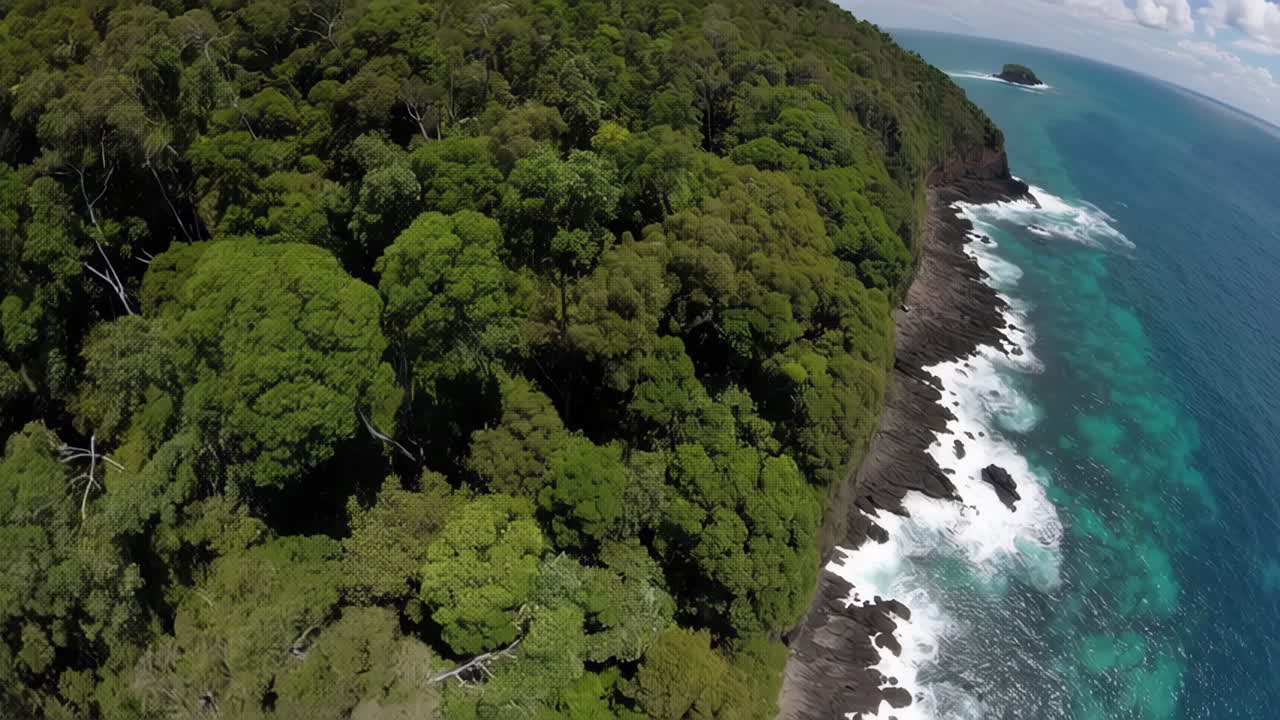 Tropical Rainforest Meets Ocean Coastline