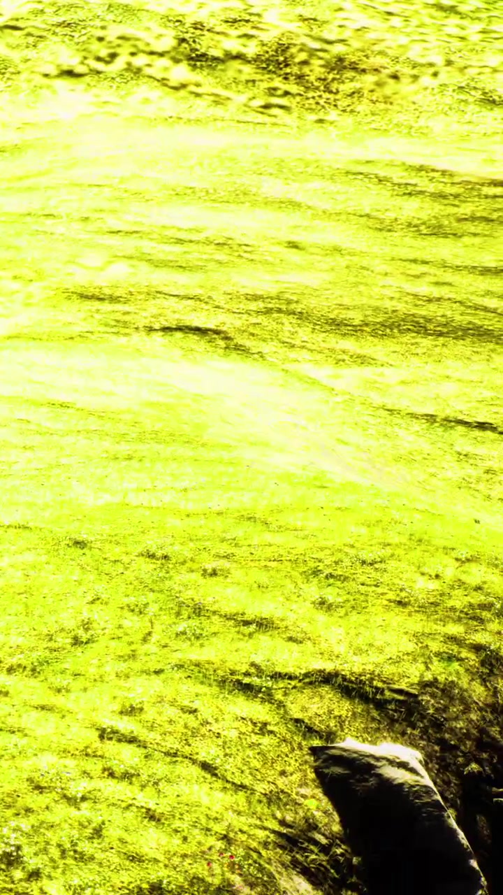 Colori vivaci in un ambiente naturale in una giornata estiva di sole
