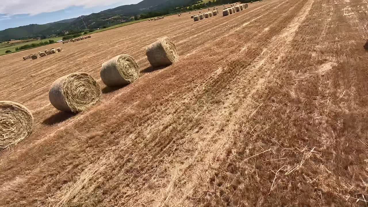 Smooth FPV drone video capturing a harvested cereal field organized with round hay bales under a clear blue sky. The scenic rural background includes distant trees and hills.
