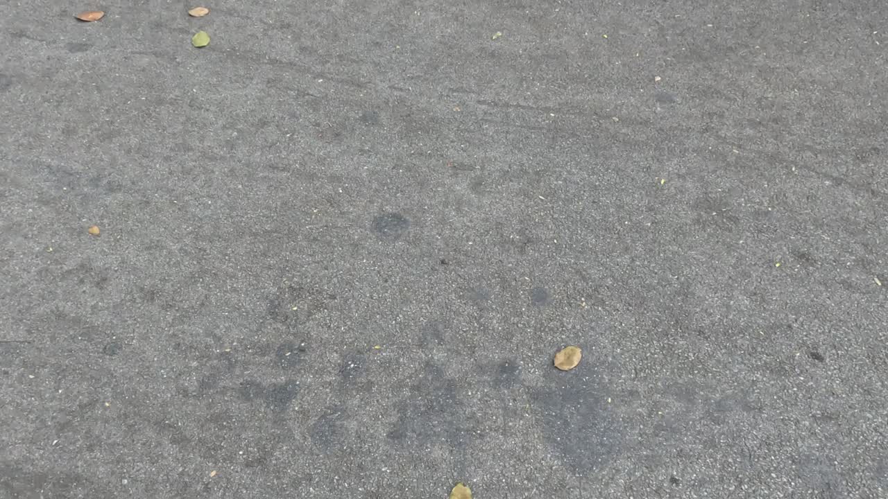 시간이 지남에 따라 콘크리트 포장 텍스처의 순서