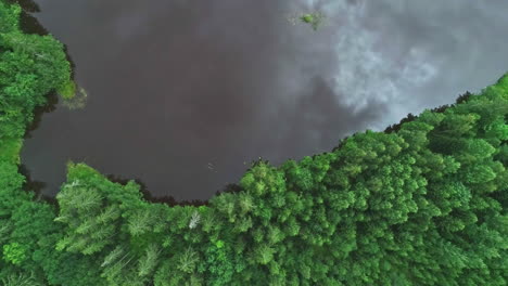 Aerial-drone-bird's-eye-view-of-beautiful-cloud-refection-on-a-lake-surrounded-by-green-forest-at-daytime