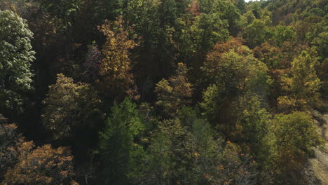 Colorful-Autumn-Woods-In-Eagle-Hollow,-Arkansas,-USA---Aerial-Shot