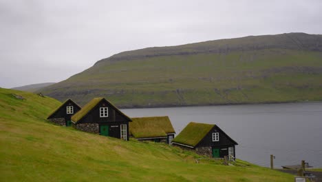 typical wooden houses with grass roofs on the coast of vagar in faroe islands