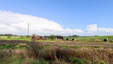 una exhibición de paisajes rurales y tierras de cultivo