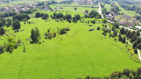 alta toma aérea de drones de prados de hierba verde y árboles.