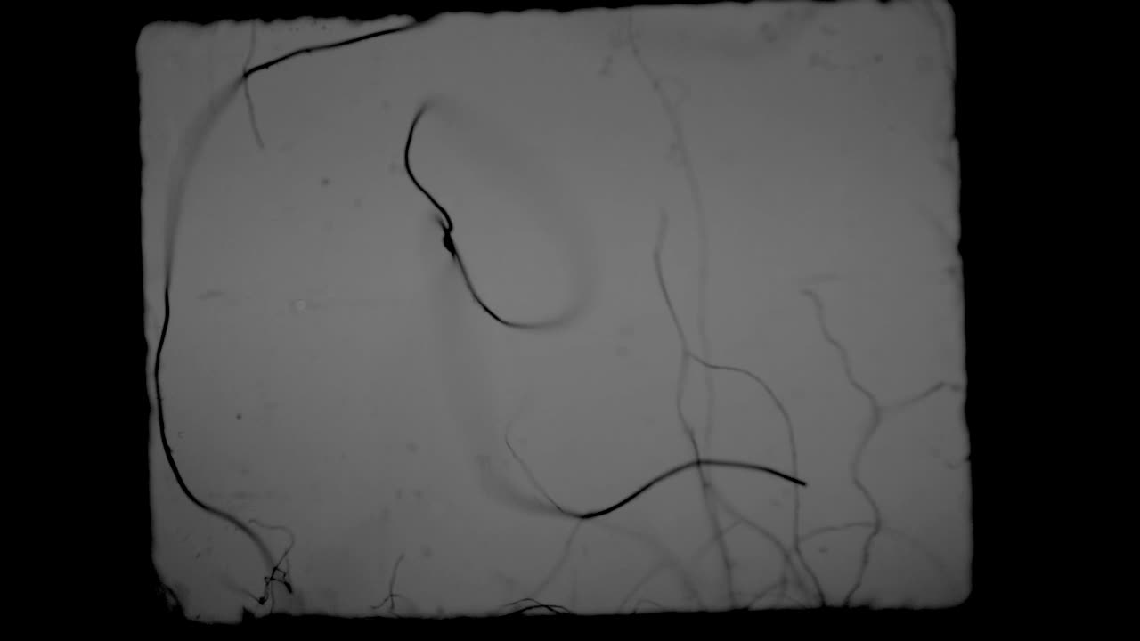 superposición de efecto de película vieja con arañazos y pelusa con marco negro 4k