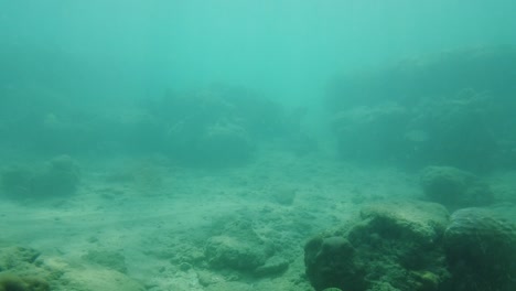 Above-the-surface-of-the-water-with-a-remote-island-beach-scene-and-forests-to-below-the-water-with-fish-and-marine-life-in-a-green-coloured-world-with-some-damaged-reef-and-corals